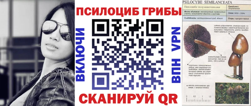 дарнет шоп  Нальчик  Псилоцибиновые грибы Magic Shrooms 